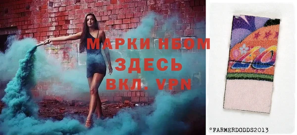 дживик Гатчина